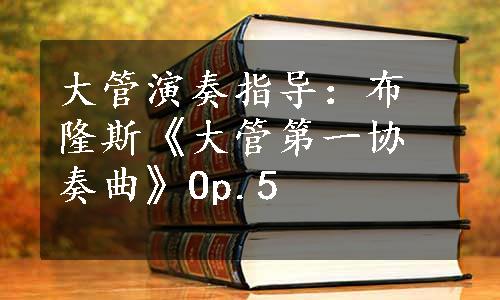 大管演奏指导：布隆斯《大管第一协奏曲》Op.5