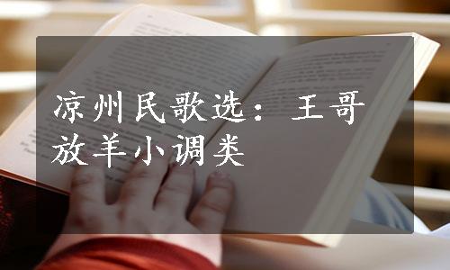 凉州民歌选：王哥放羊小调类