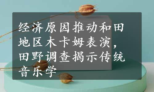 经济原因推动和田地区木卡姆表演，田野调查揭示传统音乐学