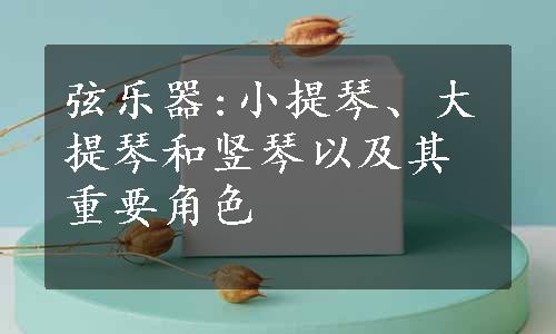 弦乐器:小提琴、大提琴和竖琴以及其重要角色