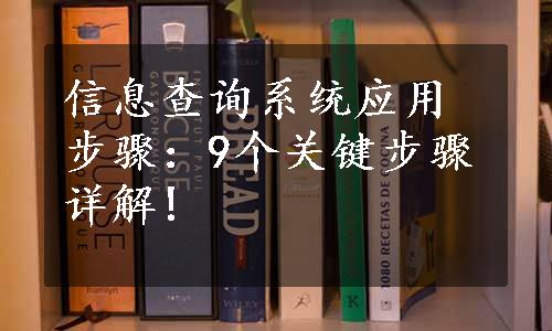 信息查询系统应用步骤：9个关键步骤详解!