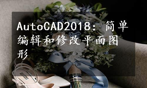 AutoCAD2018：简单编辑和修改平面图形