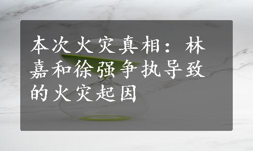 本次火灾真相：林嘉和徐强争执导致的火灾起因