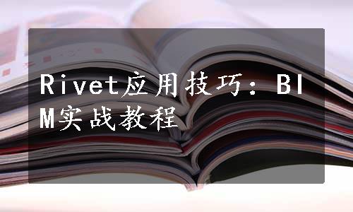 Rivet应用技巧：BIM实战教程