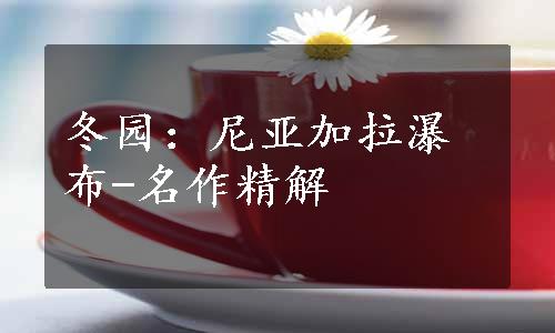 冬园：尼亚加拉瀑布-名作精解