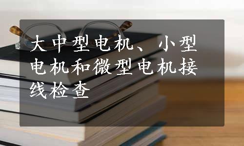 大中型电机、小型电机和微型电机接线检查