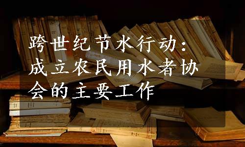 跨世纪节水行动：成立农民用水者协会的主要工作