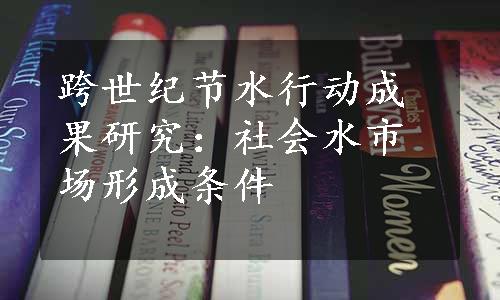 跨世纪节水行动成果研究：社会水市场形成条件