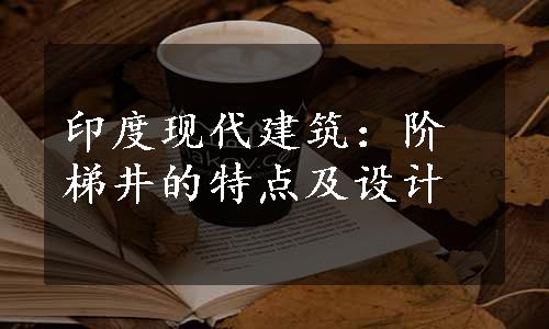 印度现代建筑：阶梯井的特点及设计