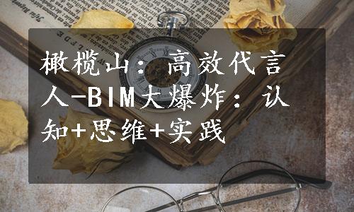 橄榄山：高效代言人-BIM大爆炸：认知+思维+实践