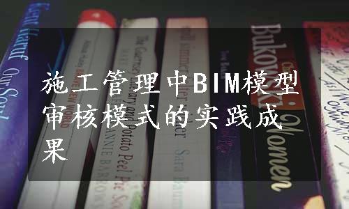 施工管理中BIM模型审核模式的实践成果