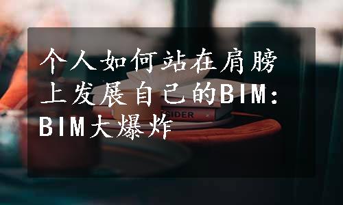 个人如何站在肩膀上发展自己的BIM：BIM大爆炸