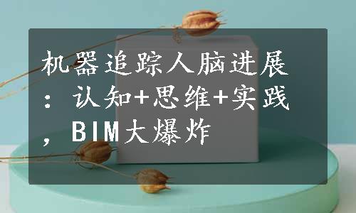 机器追踪人脑进展：认知+思维+实践，BIM大爆炸