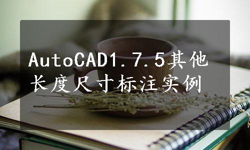 AutoCAD1.7.5其他长度尺寸标注实例