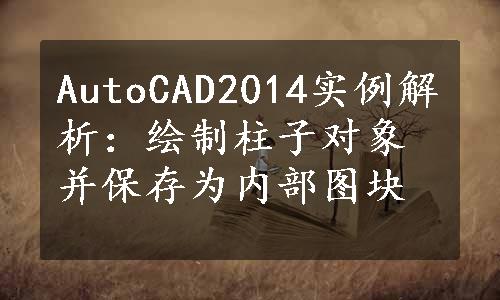 AutoCAD2014实例解析：绘制柱子对象并保存为内部图块