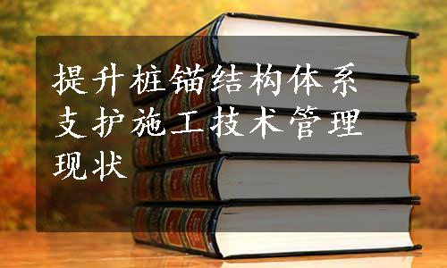 提升桩锚结构体系支护施工技术管理现状