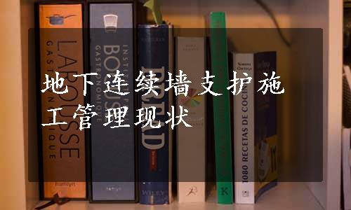 地下连续墙支护施工管理现状