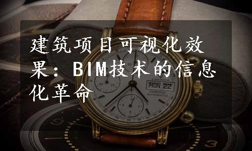 建筑项目可视化效果：BIM技术的信息化革命