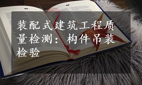 装配式建筑工程质量检测：构件吊装检验