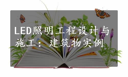 LED照明工程设计与施工：建筑物实例