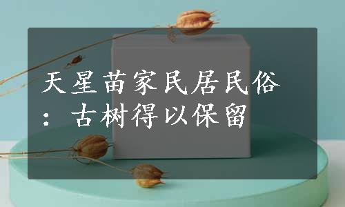 天星苗家民居民俗：古树得以保留