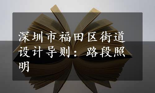 深圳市福田区街道设计导则：路段照明