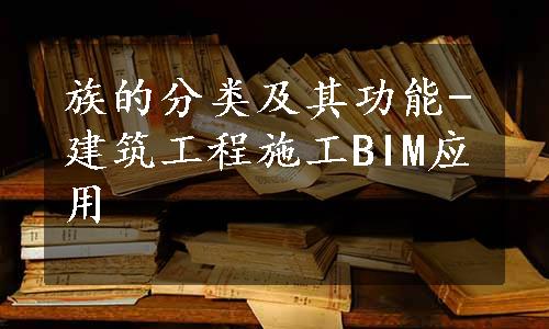 族的分类及其功能-建筑工程施工BIM应用