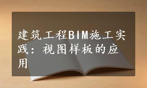 建筑工程BIM施工实践：视图样板的应用