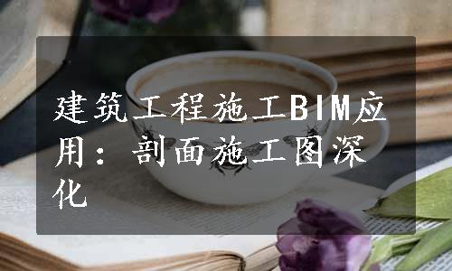 建筑工程施工BIM应用：剖面施工图深化