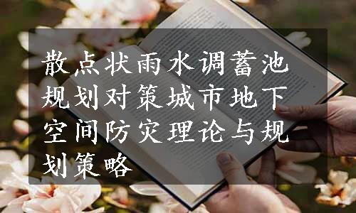 散点状雨水调蓄池规划对策城市地下空间防灾理论与规划策略