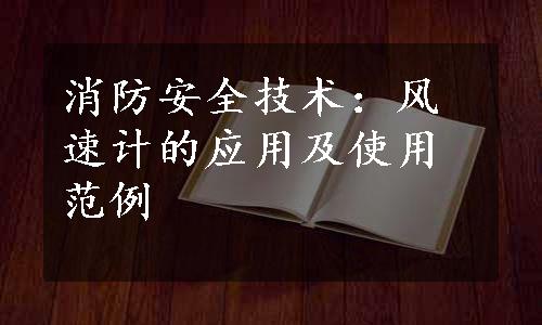 消防安全技术：风速计的应用及使用范例