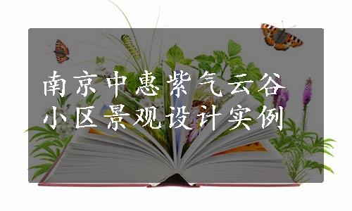 南京中惠紫气云谷小区景观设计实例