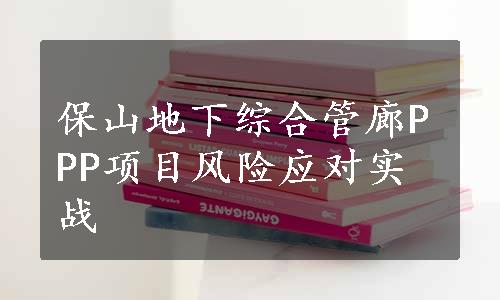 保山地下综合管廊PPP项目风险应对实战