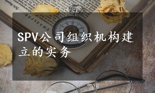 SPV公司组织机构建立的实务