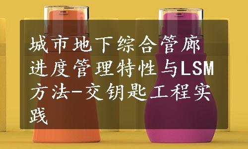 城市地下综合管廊进度管理特性与LSM方法-交钥匙工程实践