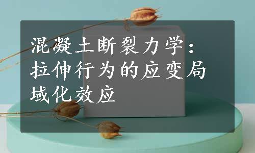 混凝土断裂力学：拉伸行为的应变局域化效应