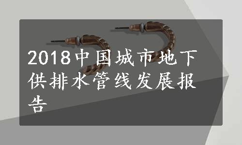 2018中国城市地下供排水管线发展报告