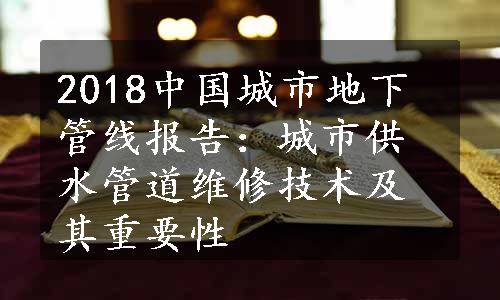 2018中国城市地下管线报告：城市供水管道维修技术及其重要性