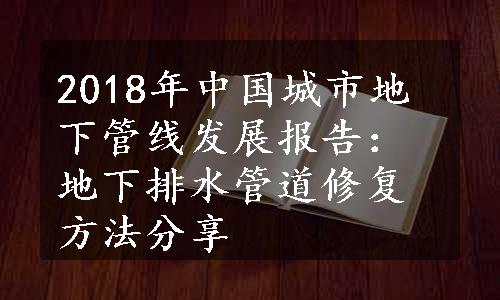 2018年中国城市地下管线发展报告：地下排水管道修复方法分享