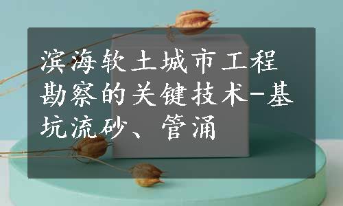 滨海软土城市工程勘察的关键技术-基坑流砂、管涌