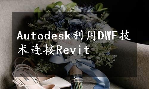 Autodesk利用DWF技术连接Revit