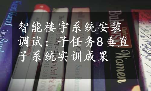 智能楼宇系统安装调试：子任务8垂直子系统实训成果