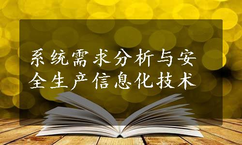 系统需求分析与安全生产信息化技术