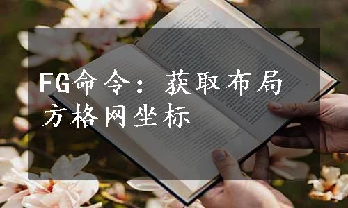 FG命令：获取布局方格网坐标