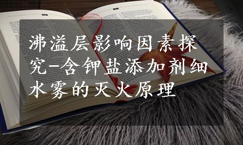 沸溢层影响因素探究-含钾盐添加剂细水雾的灭火原理