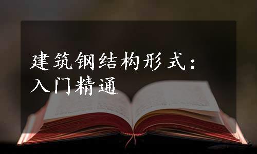 建筑钢结构形式：入门精通