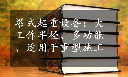 塔式起重设备：大工作半径、多功能、适用于重型施工