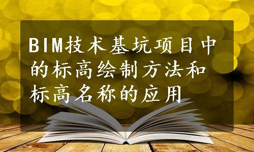 BIM技术基坑项目中的标高绘制方法和标高名称的应用