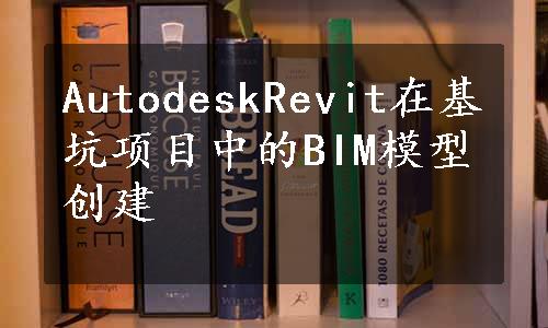 AutodeskRevit在基坑项目中的BIM模型创建