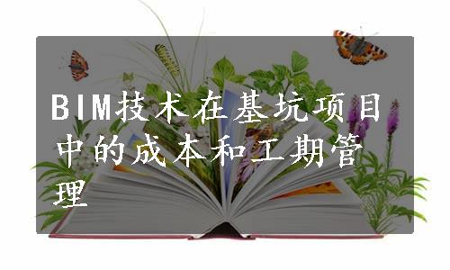 BIM技术在基坑项目中的成本和工期管理